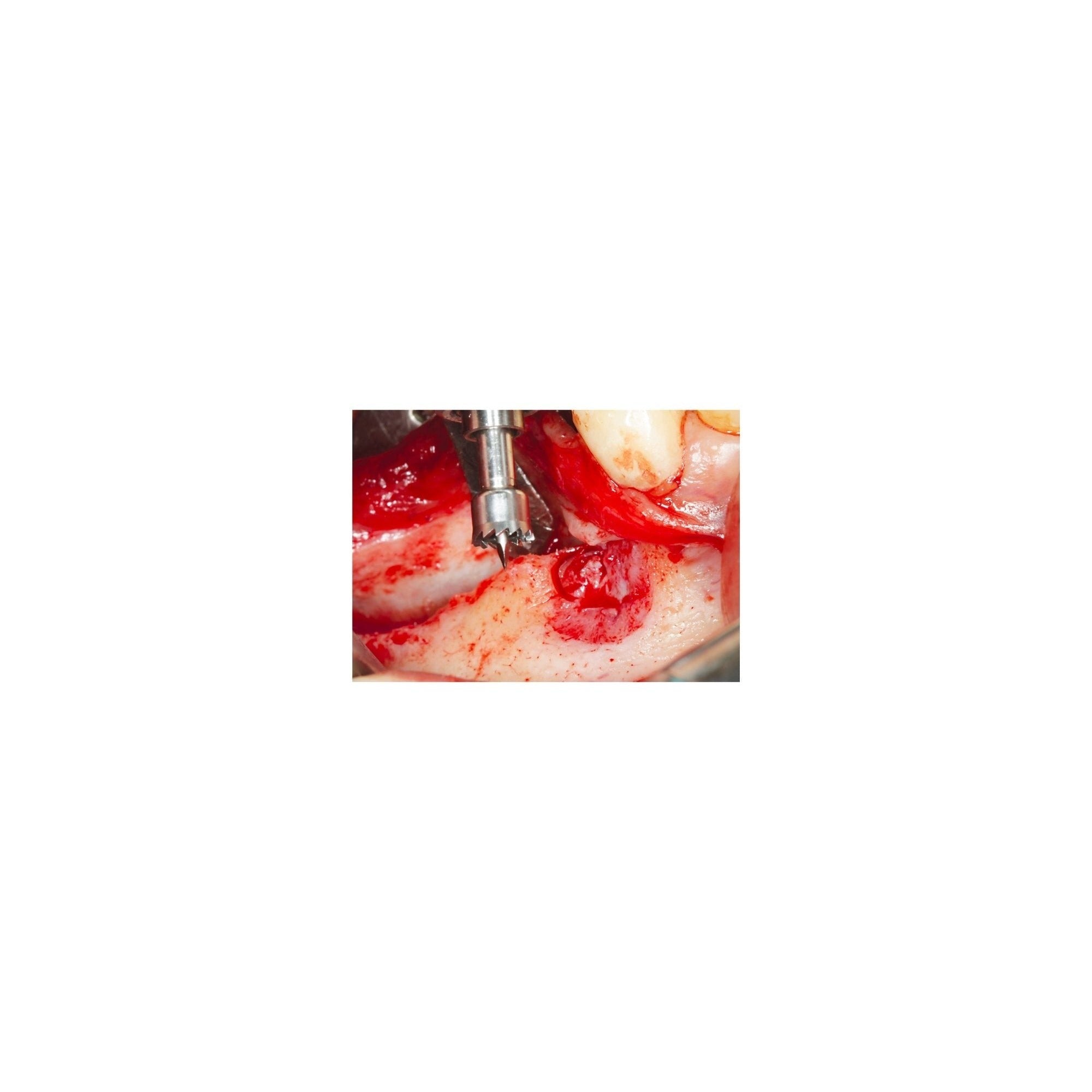 Khoury-Line - Prof. Dr. Fouad Khoury