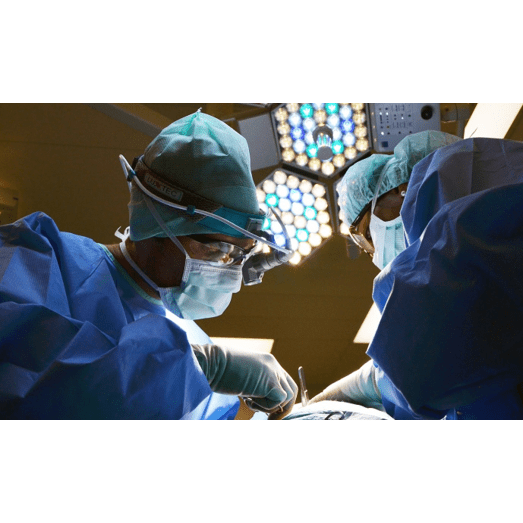 Hygiene-Management Seminar für Praxisteam