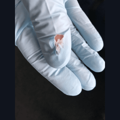 Hygiene-Management Seminar für Praxisteam